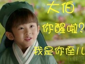 赵又廷表情包大全姑父表情包像泥石流般袭来