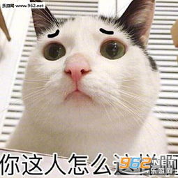 你喜欢我就说你不说我怎么知道你喜欢我啊图片发送我爱你即可聊天表情包下载乐游网游戏下载