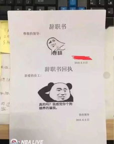 轻松一下昨天给领导写了辞职信,领导回我了