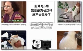 我就把话放这了表情资源下载包我就把话放这了表情包高清完整版jz5u绿色下载站