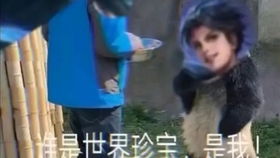 模拟器元歌现状