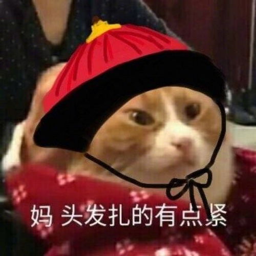 沙雕表情包l你在教我做事