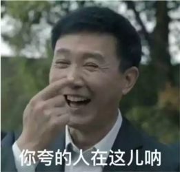 似懂非懂表情包徐峥
