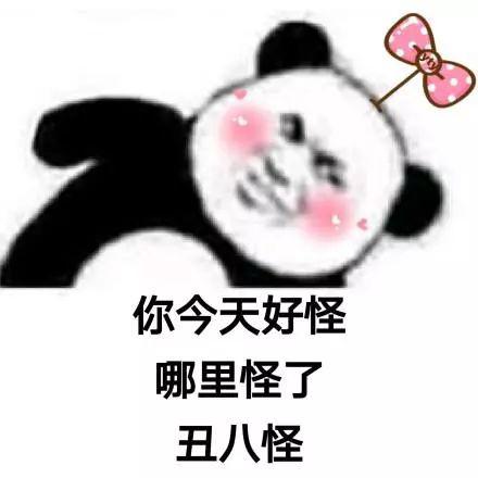 熊猫头表情包i说得好朕要封你为太子