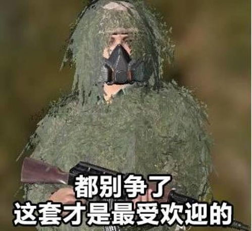 如果h1z1和绝地求生各派50人投到孤岛附新表情包