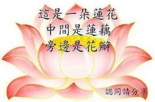 听说这些是中老年最爱用的表情包又污又精神污染