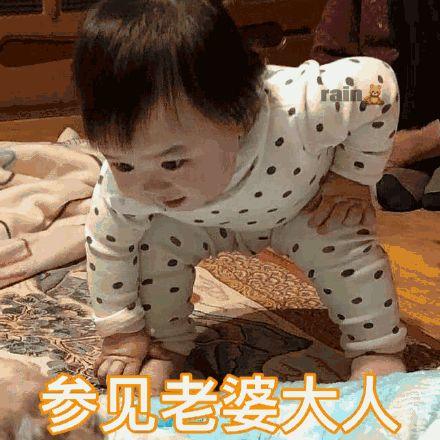 参见老婆大人表情包合集