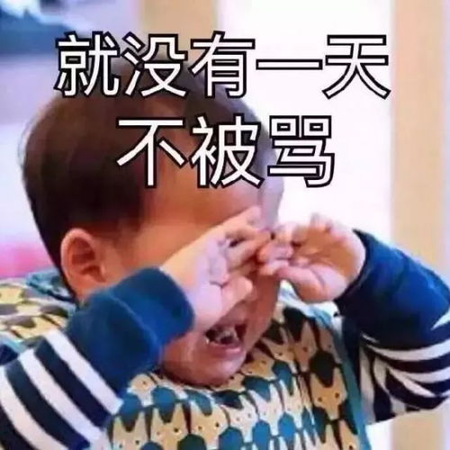 新年特辑春节假期生存指北