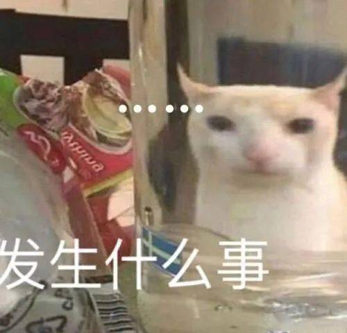 沙雕表情给你的脑子排排水