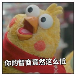 qq鹦鹉兄弟表情包大全