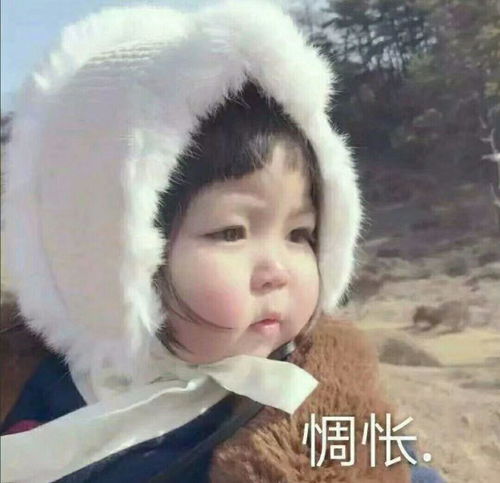 我的收藏夹