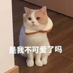 十条笑话医生,这床病人是刚送来的,腹部胀气已经好几天了