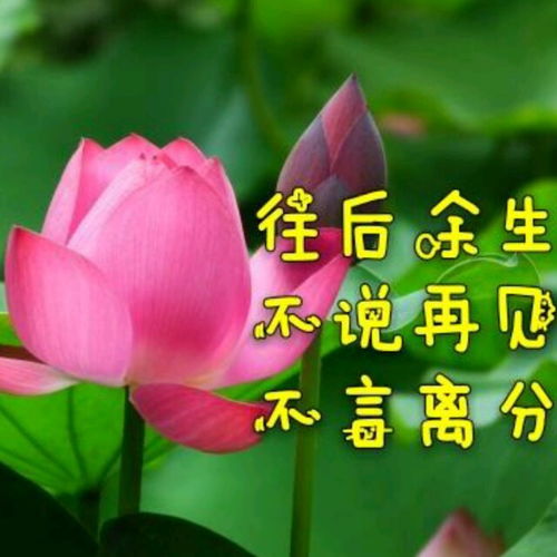 表情水墨云烟爱在天地间全民k歌,ktv交友社区表情