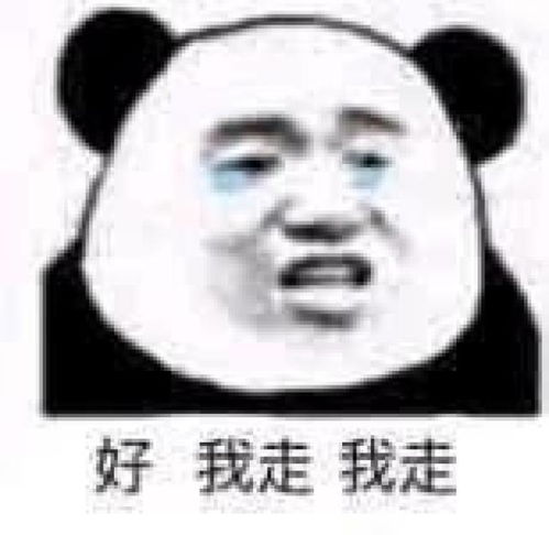 平凉斗图表情包抖音