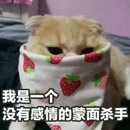 爆笑段子爸爸,加五个鸡蛋的大客户来了伯母