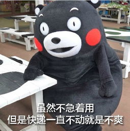 双十一快递表情包大全下载快递在路上就感觉日子还有个盼头表情包大全高清无水印极光下载站