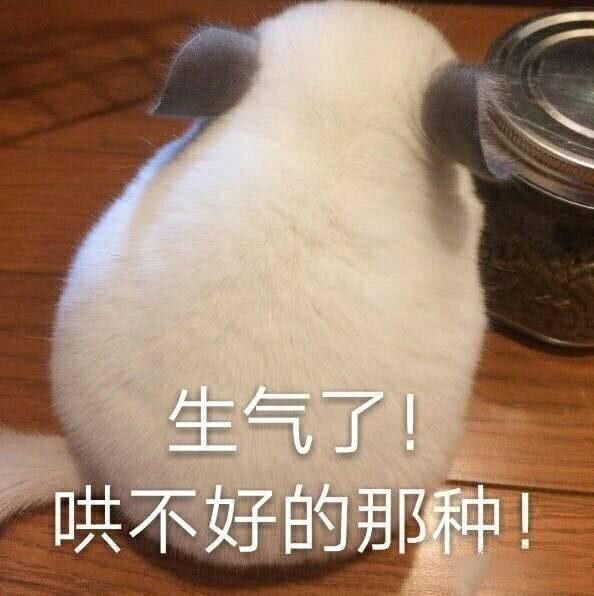 在吗这里有一份101宝藏女孩的安利请收下
