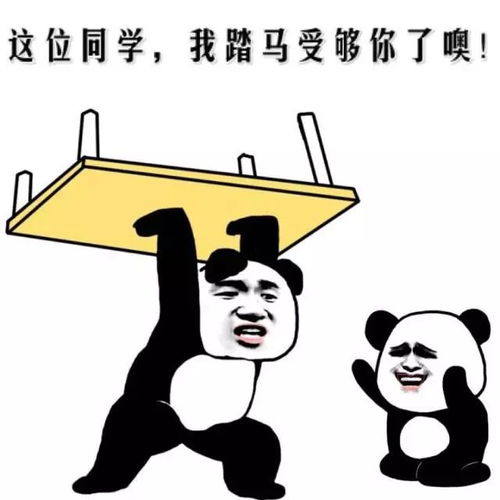 她对彭于晏还没死心90后的100个离婚的理由哪个最扎心