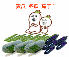 黄瓜冬瓜