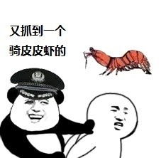 表情包怎样下载皮皮虾