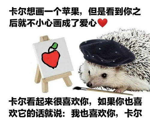 去年五月分手,如今结婚,告诉各位姐妹,无惧断联