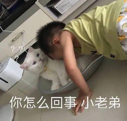 瓜皮我没别的意思