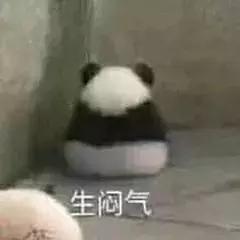 魔都端午惊现超不正经鸡肚子里居然藏着