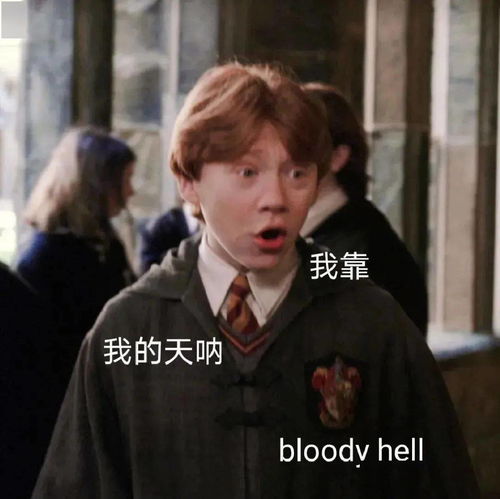 沙雕表情包丨我不是你的小宝贝吗
