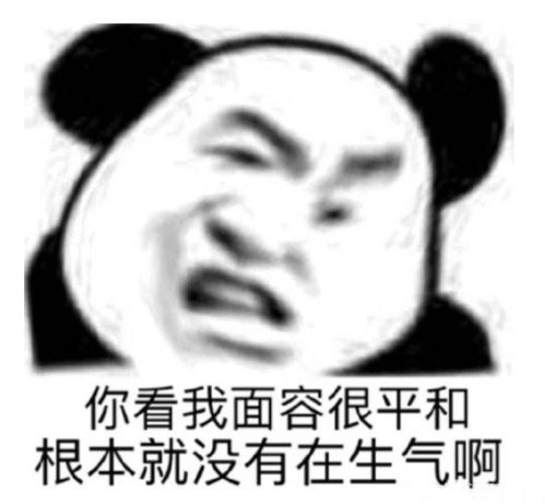 听说成年人一定会买这些东西我可能还没长大