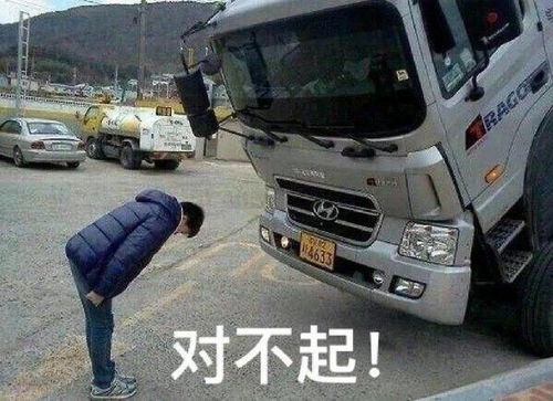 表情包蔡文姬让开,我来打野