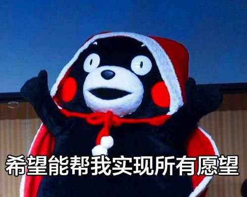 吃几顿分岁酒,就被问几遍男朋友的下落