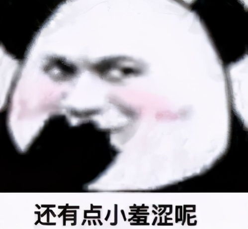 熊猫表情包头像高清