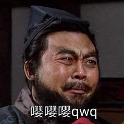 马超表情包别动追星
