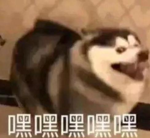 他十年如一日忽悠萌新,最后竟然被萌新组队给爆船了