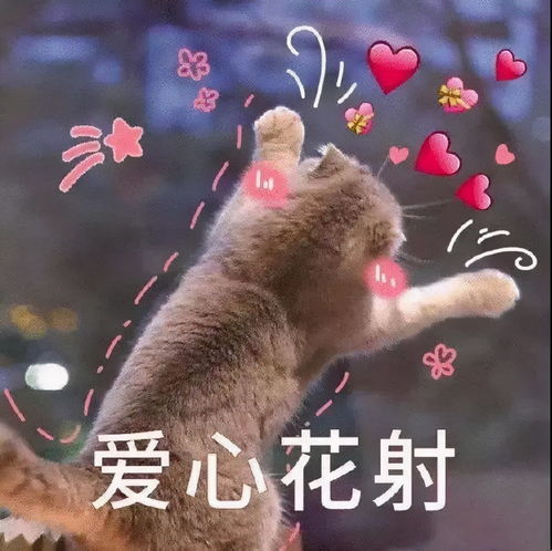 4招改造鸡肋过道,除了挂画还可以这样做
