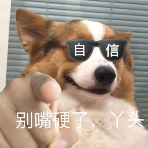 被金钱蒙蔽了双眼