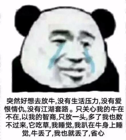 熊猫头怼人表情包这还有人管吗骂你两句不乐意听了