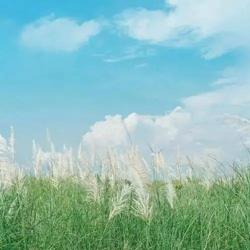 人过五十,如果还在为生计发愁,最好守住以下几个秘密