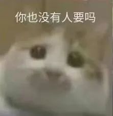 表情包杂七杂八斗图精选含动图