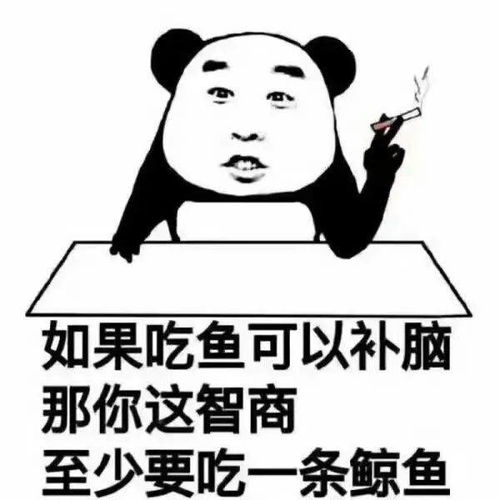 你复杂的五官掩饰不了你朴素的智商