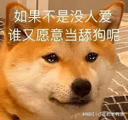 答应我,千万别做舔狗好吗关于备胎的真相,都在这里了