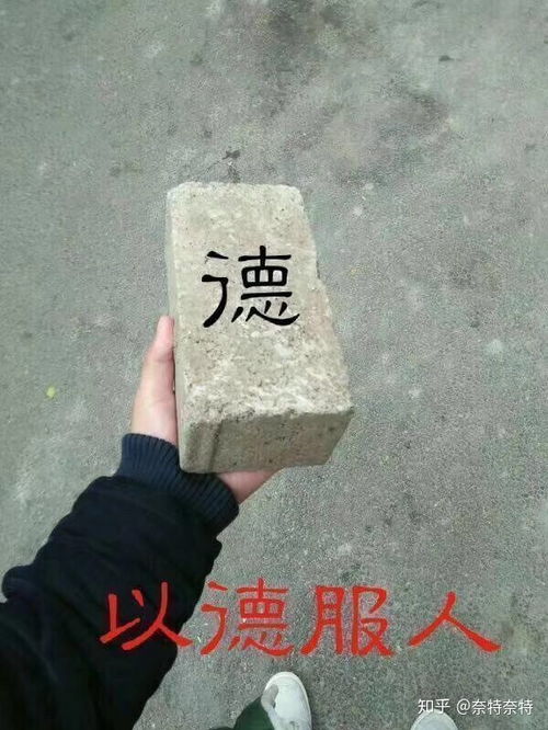 王者荣耀皮肤返场为什么有些人投安琪拉的魔法小厨娘