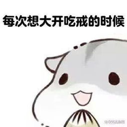 温宝..