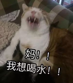 暑假在家如何不被爸妈嫌弃
