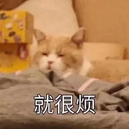 表情包就很烦