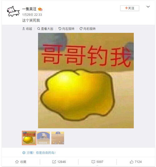 黄金矿工赚钱表情包哥哥