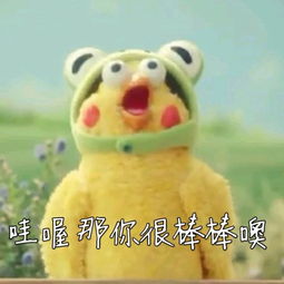 鹦鹉兄弟鸡年表情包