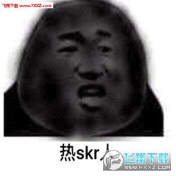 热skr人笑skr人表情包下载热skr人笑skr人表情图片下载飞翔下载