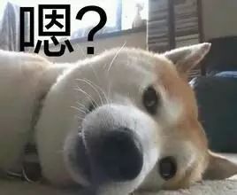 表情包精选