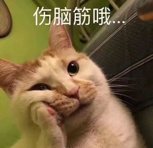 宅在家到底可以做什么